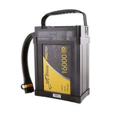 Collection image for: 12S 45.6V HV リポバッテリー